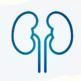 Nefrólogos de Barinas